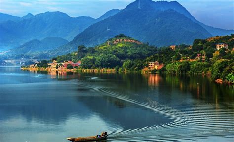 漳州诏安富硒地是什么茶(福建富硒茶)-硒宝网