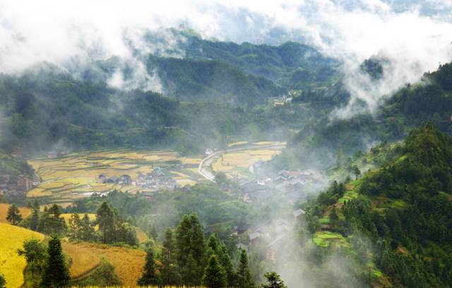在贵阳哪里买开阳富硒茶(贵阳富硒茶骗局揭秘)-硒宝网