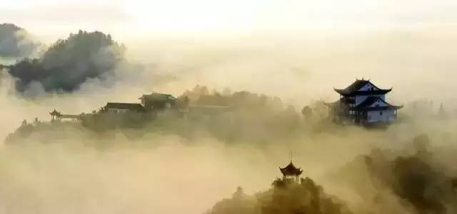 在贵阳哪里买开阳富硒茶(贵阳富硒茶骗局揭秘)-硒宝网