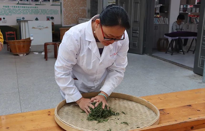 兴业县山心茶   富硒（兴业县山心云雾茶价格）-硒宝网