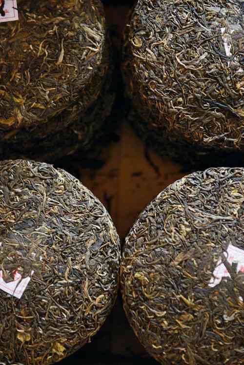 富硒普洱茶种植面积多少(云南种植普洱茶的优势)-硒宝网