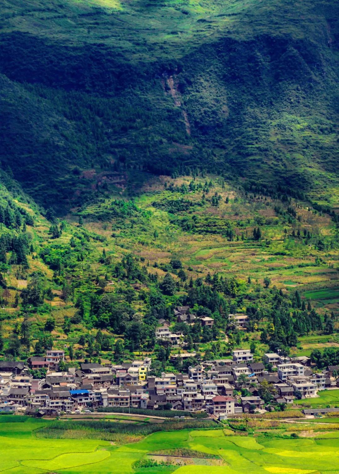 哪个地方富硒茶最好喝的(茶叶富硒)-硒宝网