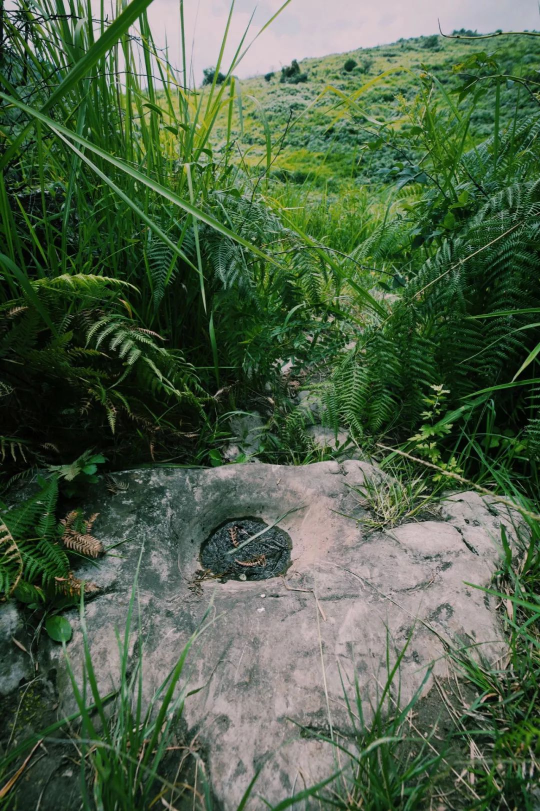 哪个地方富硒茶最好喝的(茶叶富硒)-硒宝网