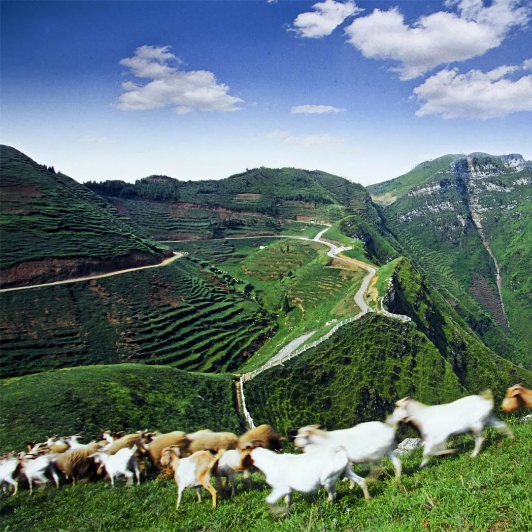 哪个地方富硒茶最好喝的(茶叶富硒)-硒宝网