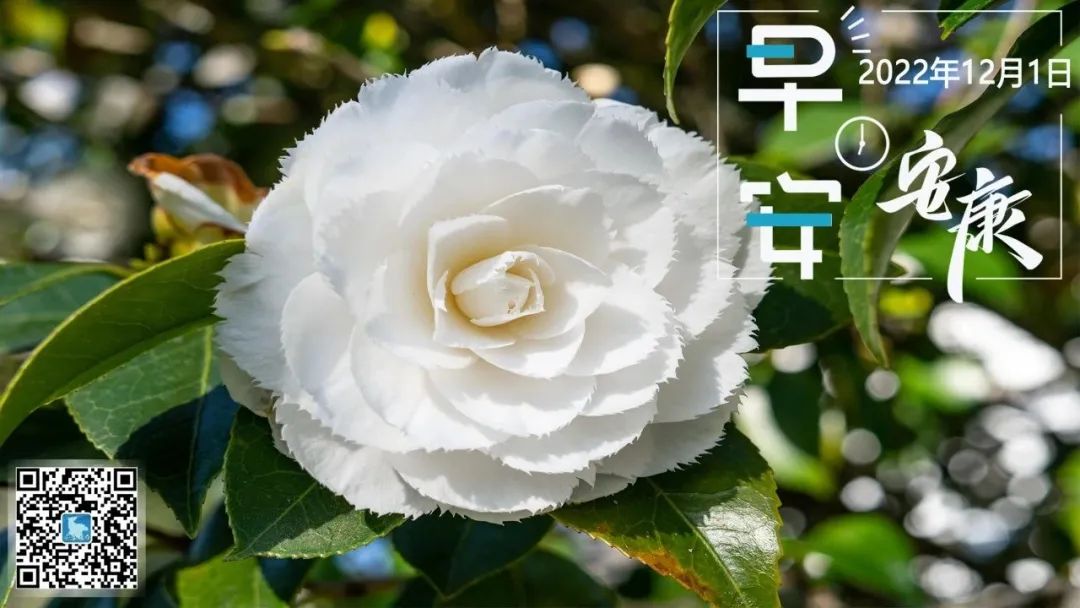 安康富硒茶销售培训中心(安康富硒茶发展情况)-硒宝网