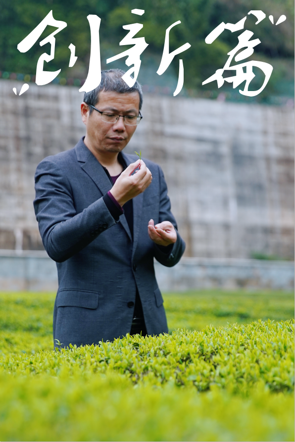 富硒茶恩施玉露哪里有卖（恩施玉露和恩施富硒茶的区别）-硒宝网