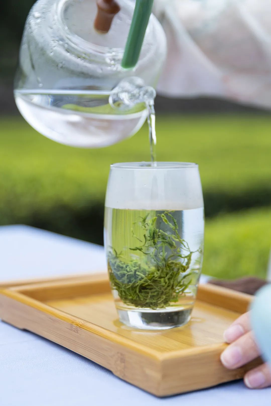 富硒茶恩施玉露哪里有卖（恩施玉露和恩施富硒茶的区别）-硒宝网