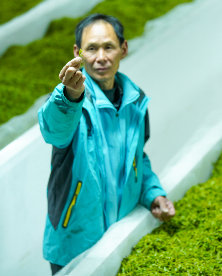 富硒茶恩施玉露哪里有卖（恩施玉露和恩施富硒茶的区别）-硒宝网