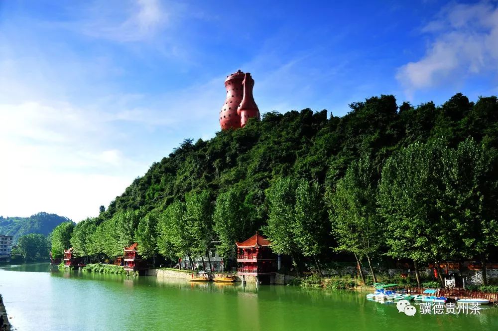 贵州哪些地方产富硒茶呢（贵州富硒的地方）-硒宝网