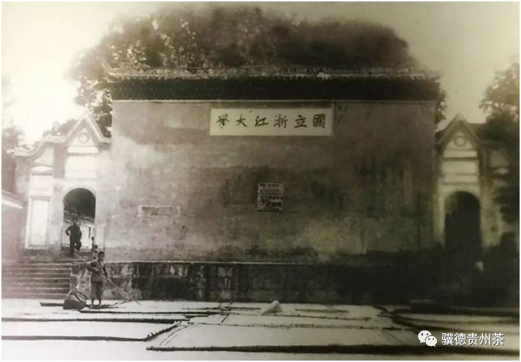 贵州哪些地方产富硒茶呢（贵州富硒的地方）-硒宝网