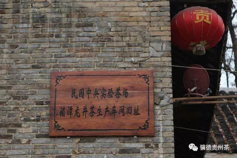 贵州哪些地方产富硒茶呢（贵州富硒的地方）-硒宝网