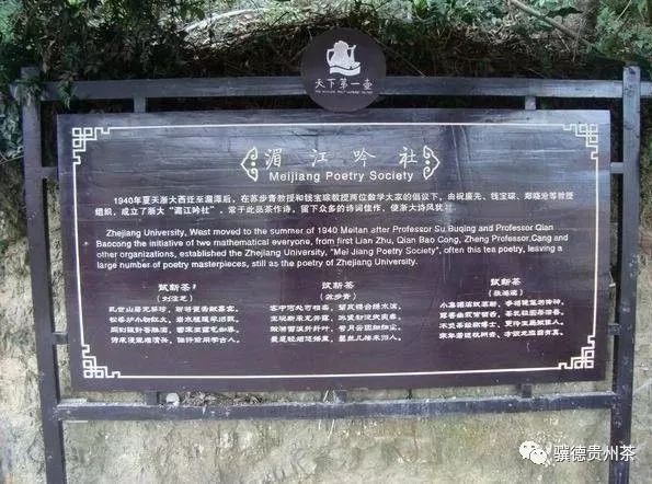 贵州哪些地方产富硒茶呢（贵州富硒的地方）-硒宝网