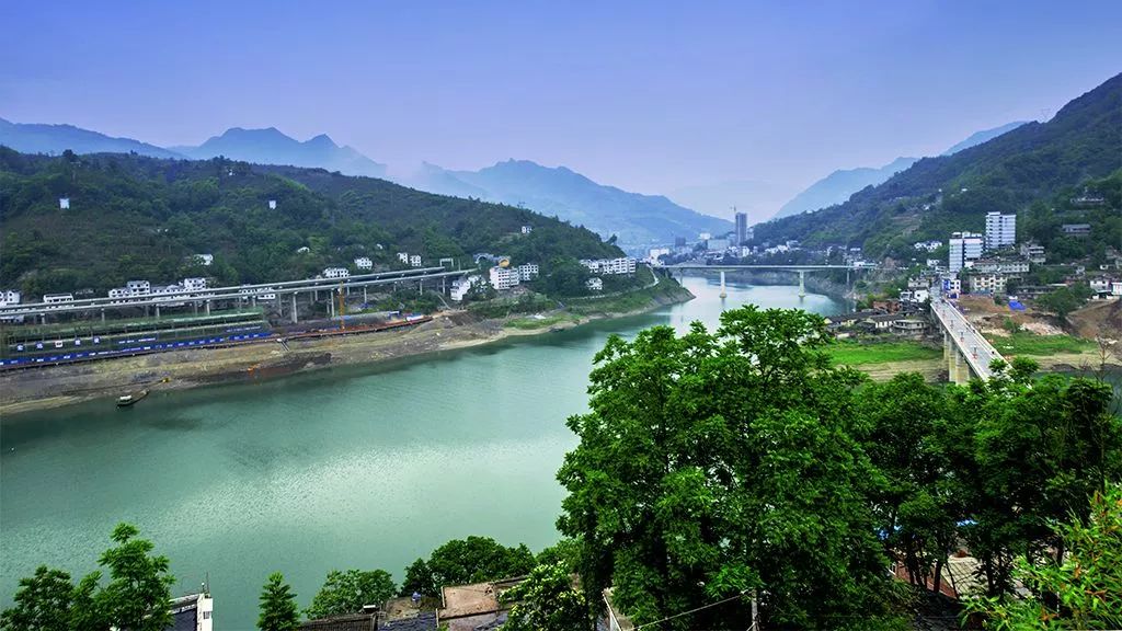 紫阳富硒茶网络中心地址(紫阳富硒茶和平盘龙)-硒宝网