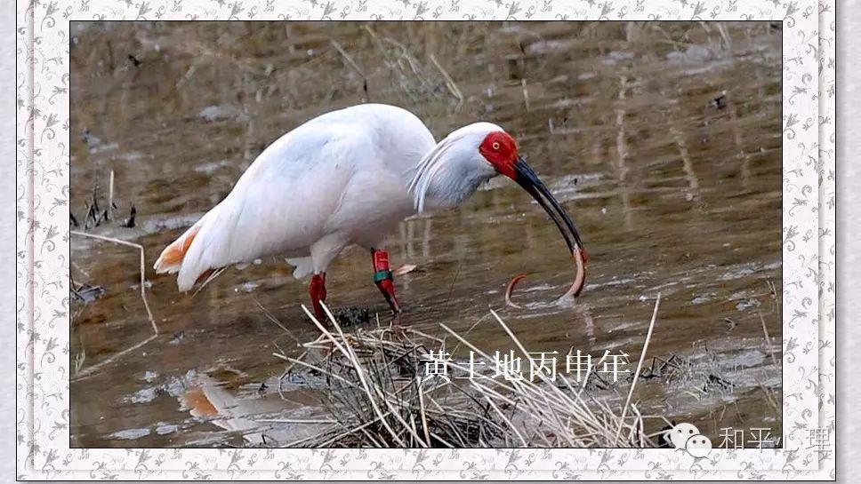 紫阳富硒茶网络中心地址(紫阳富硒属于什么茶)-硒宝网