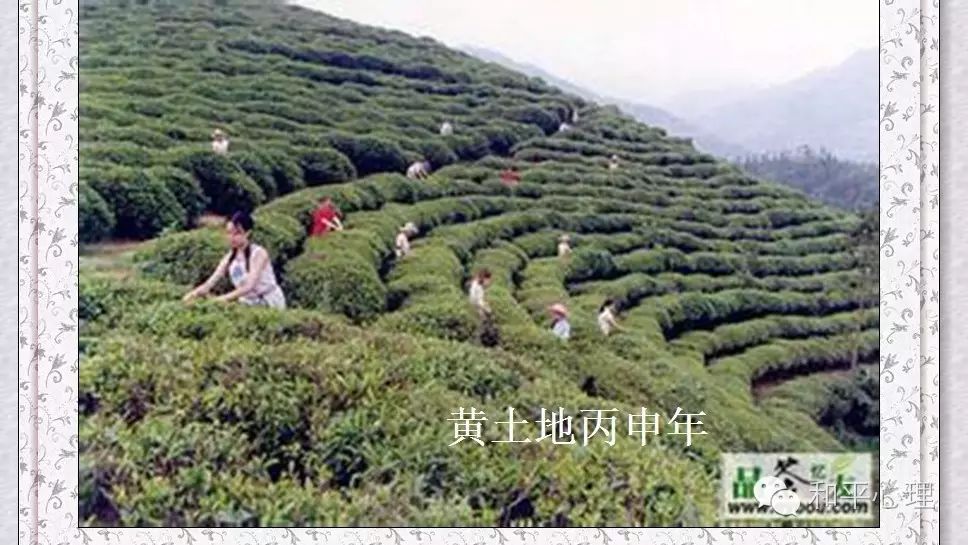 紫阳富硒茶网络中心地址(紫阳富硒属于什么茶)-硒宝网
