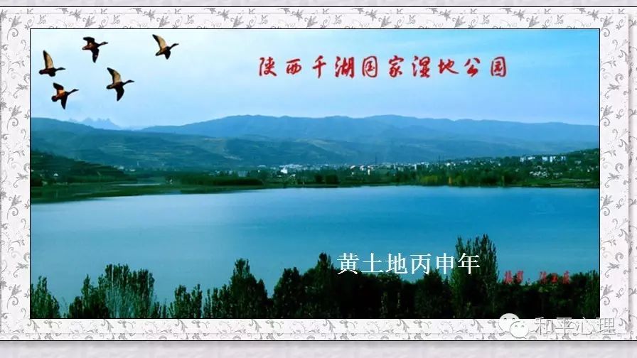 紫阳富硒茶网络中心地址(紫阳富硒属于什么茶)-硒宝网