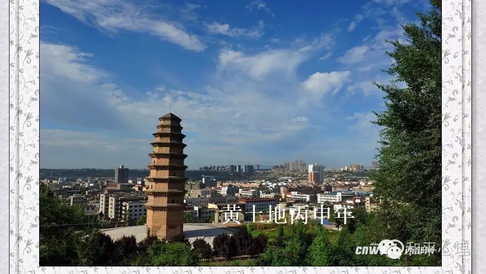 紫阳富硒茶网络中心地址(紫阳富硒属于什么茶)-硒宝网