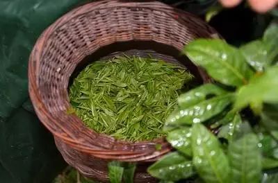 贵州哪些地方产富硒茶呢(贵州富硒茶多少钱一斤)-硒宝网