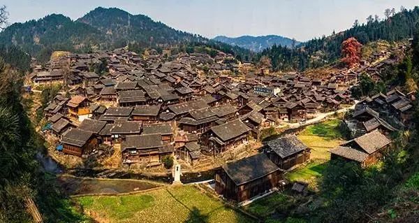 贵州哪些地方产富硒茶呢(贵州富硒茶多少钱一斤)-硒宝网