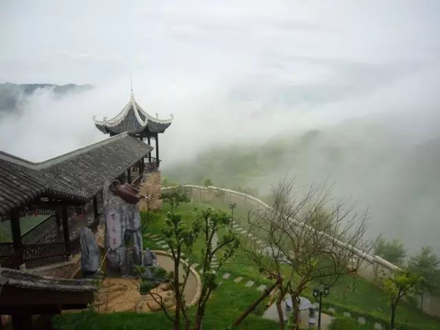 贵州哪些地方产富硒茶呢(贵州富硒茶多少钱一斤)-硒宝网