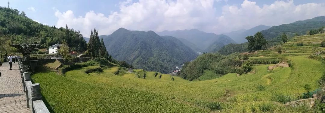 肺癌患者能喝富硒藤茶吗（能喝肺癌患者富硒藤茶水吗）-硒宝网