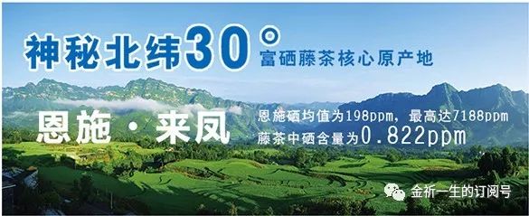 肺癌患者能喝富硒藤茶吗（癌症患者可以喝富硒康吗）-硒宝网