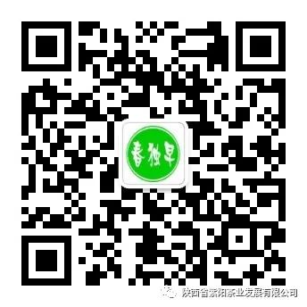 紫阳富硒茶交易中心官网（紫阳茶富硒茶礼盒装）-硒宝网