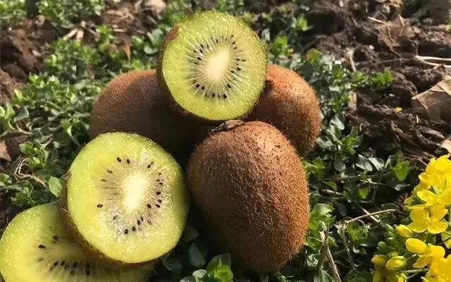 紫阳富硒茶产业结构调整（紫阳茶富硒饮品）-硒宝网