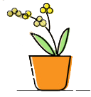 紫阳富硒茶产业结构调整（紫阳茶富硒饮品）-硒宝网