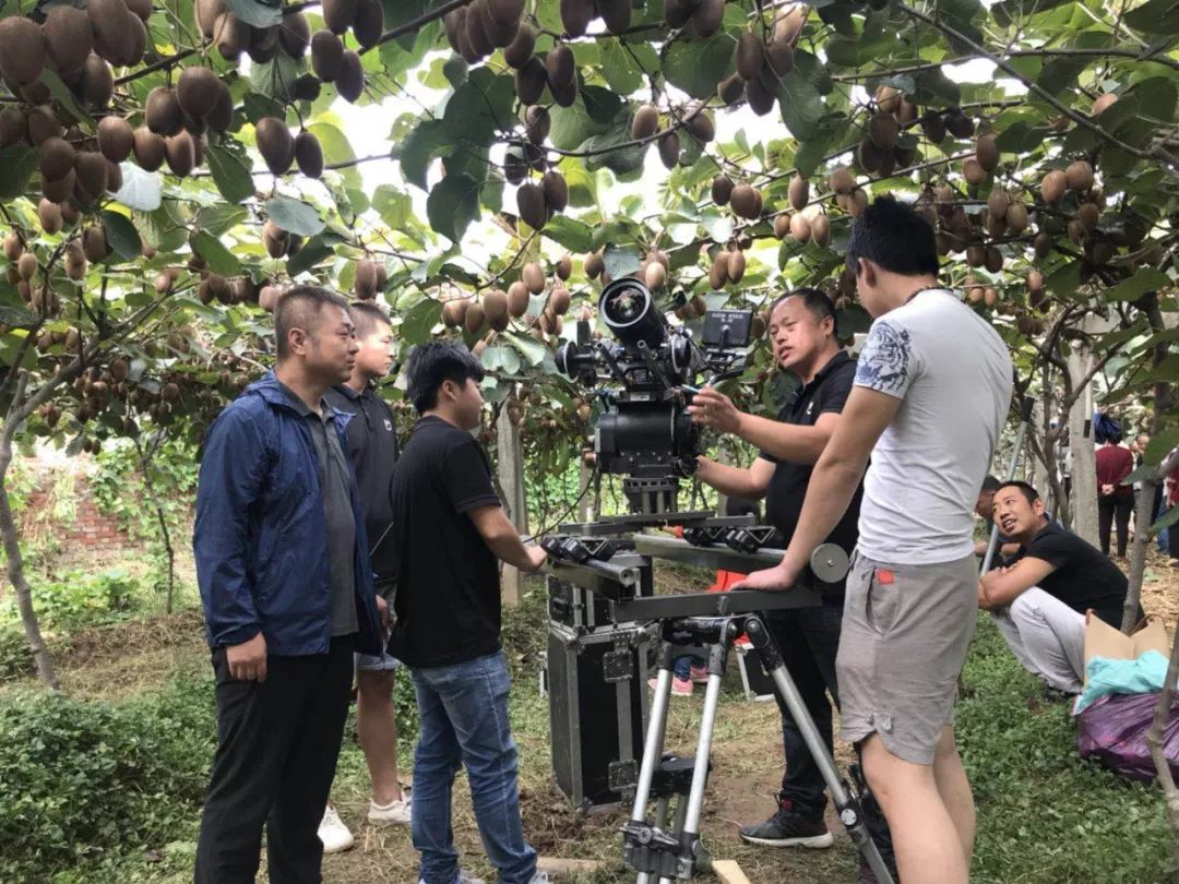 紫阳富硒茶产业结构调整（紫阳茶富硒饮品）-硒宝网