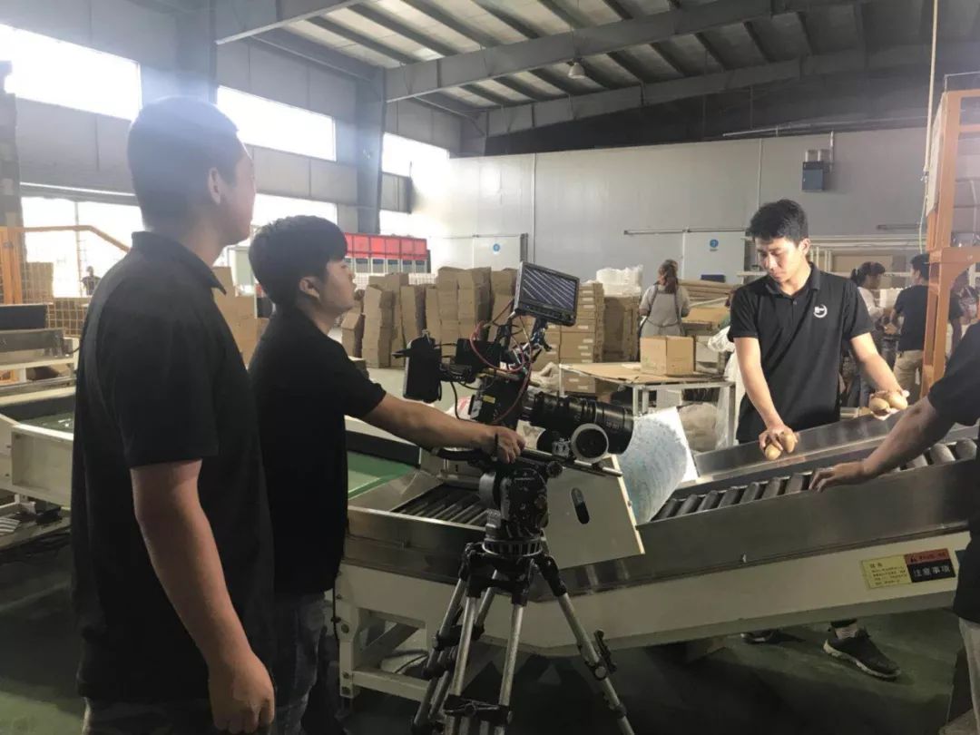 紫阳富硒茶产业结构调整（紫阳茶富硒饮品）-硒宝网