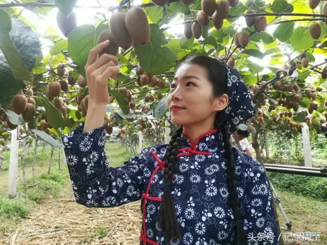 紫阳富硒茶产业结构调整（紫阳茶富硒饮品）-硒宝网