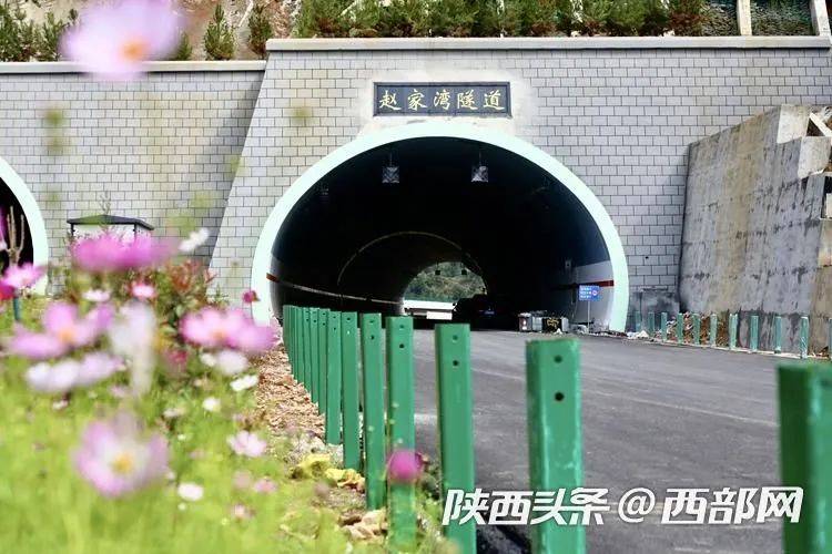 紫阳富硒茶怎么发朋友圈(紫阳富硒茶朋友圈文案)-硒宝网