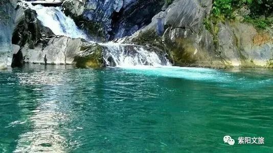 紫阳富硒茶观光园农家乐(紫阳富硒茶厂)-硒宝网