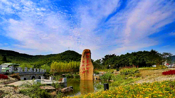 富硒茶广告创意文案分析（富硒茶宣传语）-硒宝网