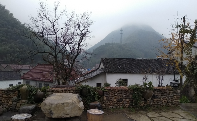 富硒茶广告创意文案分析（富硒茶宣传语）-硒宝网