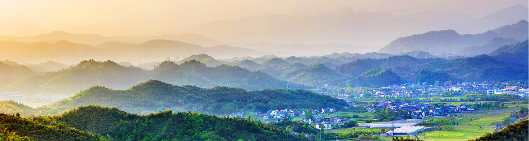 富硒茶广告创意文案分析（富硒茶宣传语）-硒宝网