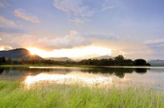 白马岭富硒地高山云雾茶（云南白马山茶叶）-硒宝网