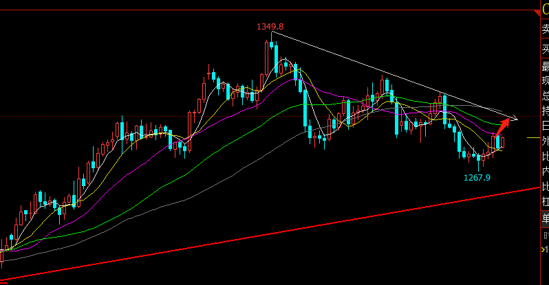 富硒和毛尖茶哪个好喝点（毛尖茶含硒吗）-硒宝网