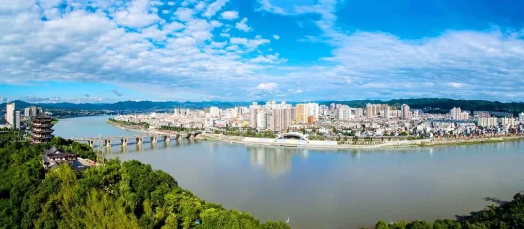 十大品牌安康富硒茶排名(安康富硒茶主要产自哪里)-硒宝网