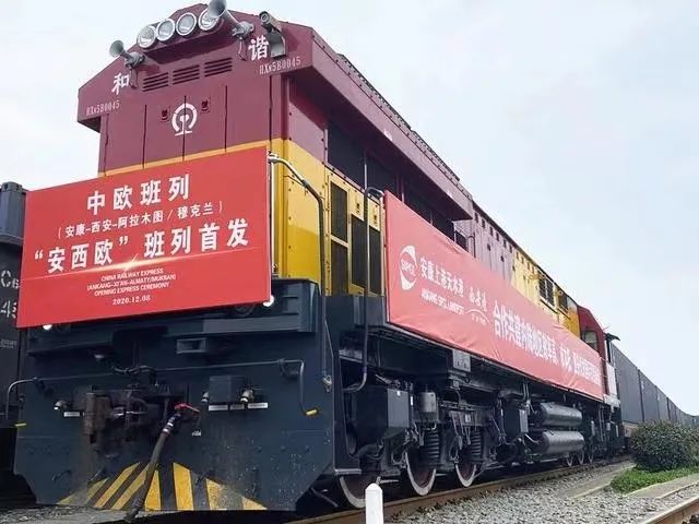 十大品牌安康富硒茶排名(安康富硒茶主要产自哪里)-硒宝网