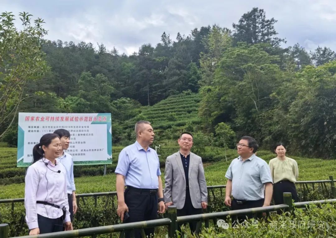 安康富硒茶产业链分析图(安康茶叶)-硒宝网