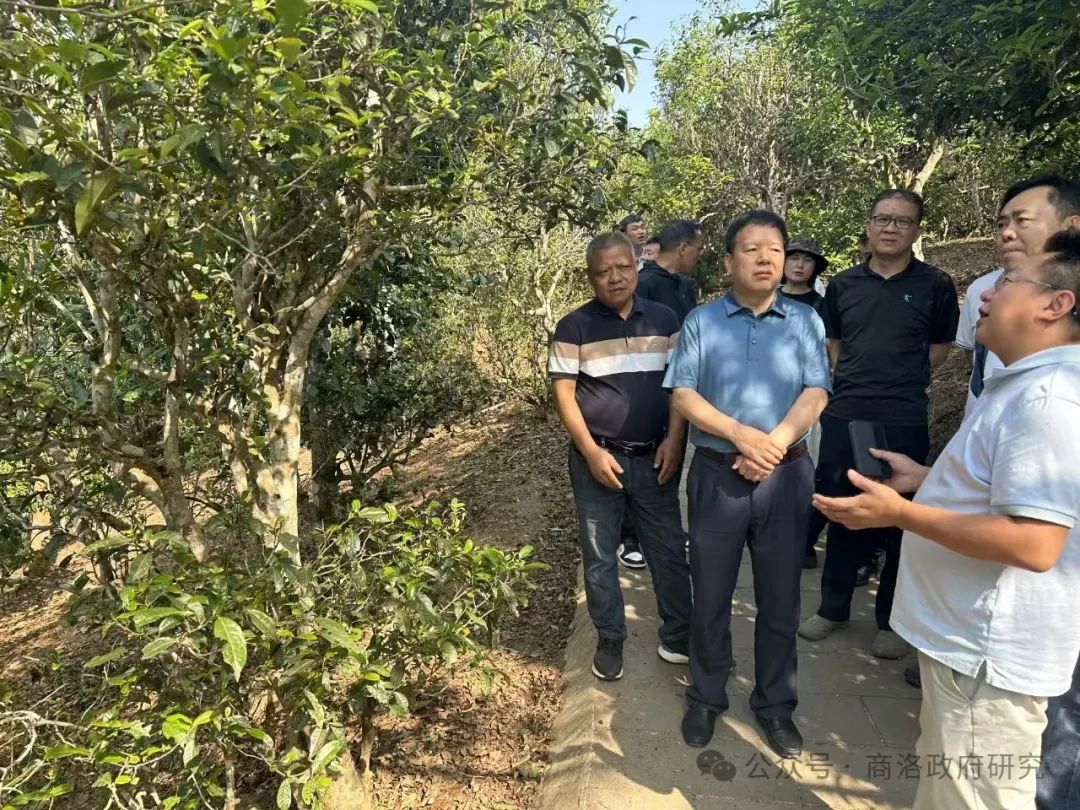 安康富硒茶产业链分析图(安康茶叶)-硒宝网