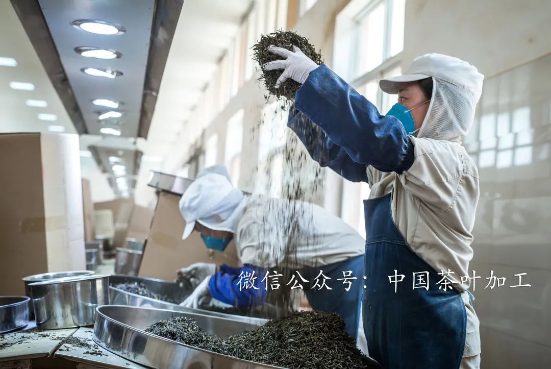 十大品牌安康富硒茶排名（安康茶排名富硒品牌第一）-硒宝网