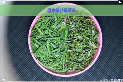 什么是富硒普洱茶叶生茶（茶叶普洱富硒生茶是绿茶吗）-硒宝网