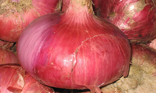 富硒荞子茶什么品牌好6(天然硒荞子茶哪里有卖)-硒宝网