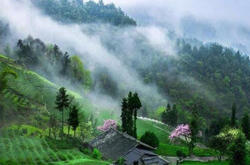 富硒茶对降血糖有作用吗（补硒降血糖）-硒宝网