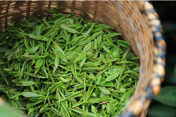 四川富硒茶产业发展历史（四川在茶叶发展史上的重要地位）-硒宝网