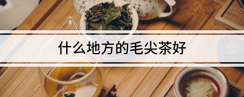 紫阳富硒茶什么地方的好（紫阳富硒茶文化）-硒宝网