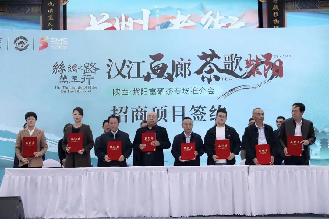 紫阳茶叶富硒茶怎么样喝（紫阳富硒茶泡出来什么颜色）-硒宝网